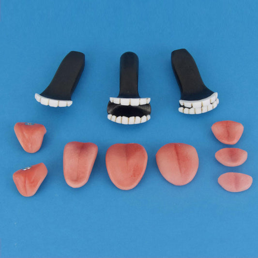 Sex Doll Teeth and Tongue Set