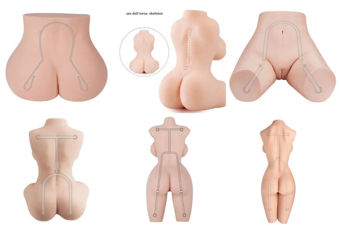 Sex Doll Torso Skeleton