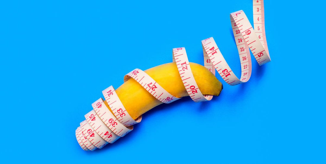2024 What Size Penis Should You Buy for Your Male Sex Doll? Linkdolls 2024 What Size Penis Should You Buy for Your Male Sex Doll? Linkdolls