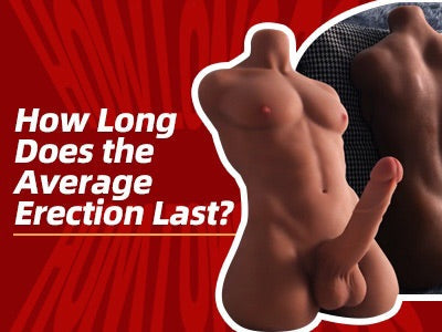 male sex doll torso