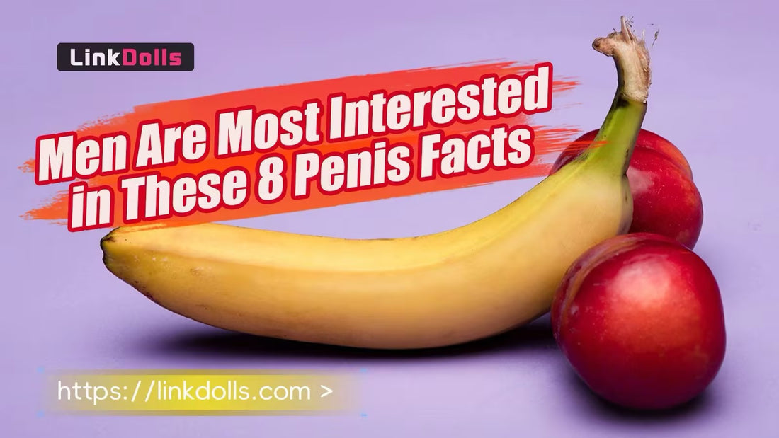 Men Are Most Interested in These 8 Penis Facts