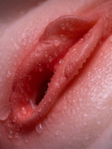 T460-65.52LB Savannah Lifelike Silicone Sex Doll with Slim Body| LoveNestle Series