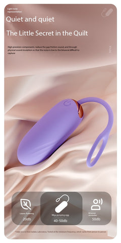 D042- APP applet wireless remote control vibrating egg for women
