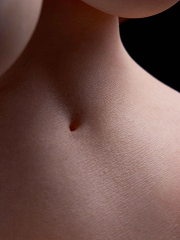 T453-31.66LB Aiko Life Size Anime Silicone Sex Doll | LoveNestle Series