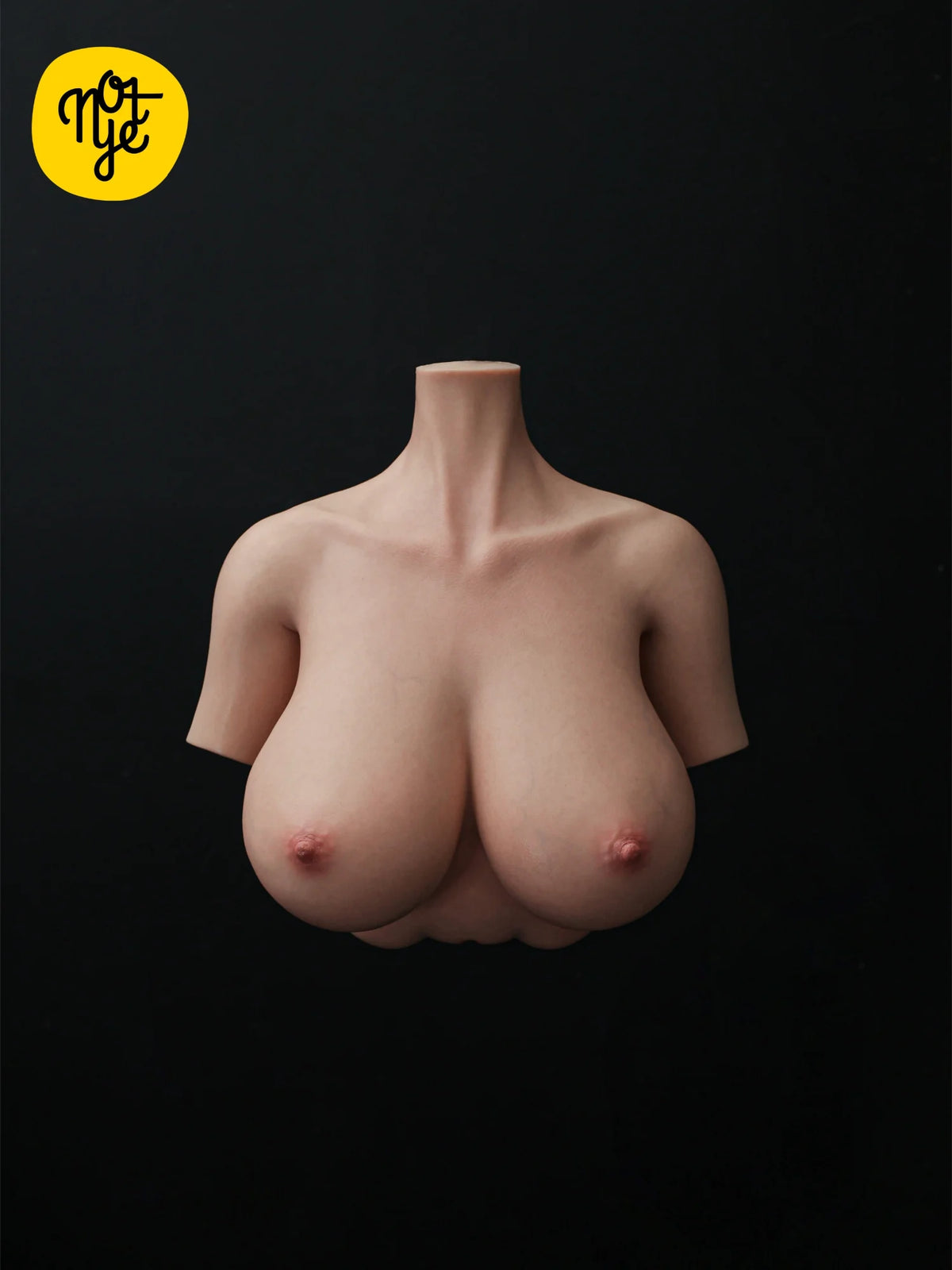 B44 - 39.7 lbs Silicone Realistic Breast Masturbator with Vagina and Anus, Head Optional | Notye