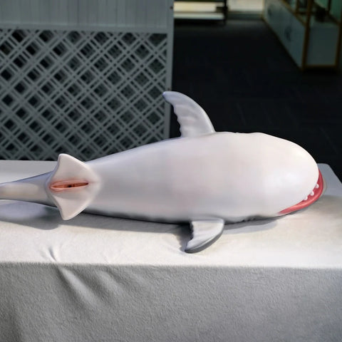 T372-24kg Silicone Shark Mini Anime Sex Doll Hentai Figures Sex Dolls｜Doll Castle