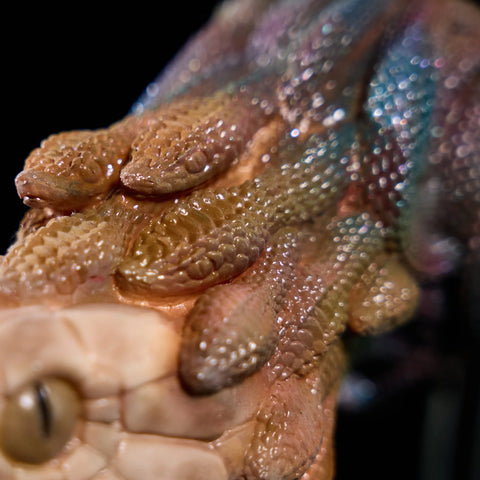 P379-3.32 lbs Anime Fake Pussy Medusa Silicone Hentai Sex Doll | MRL